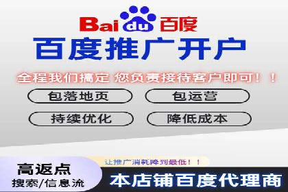 百度推广实战攻略：案例与技巧